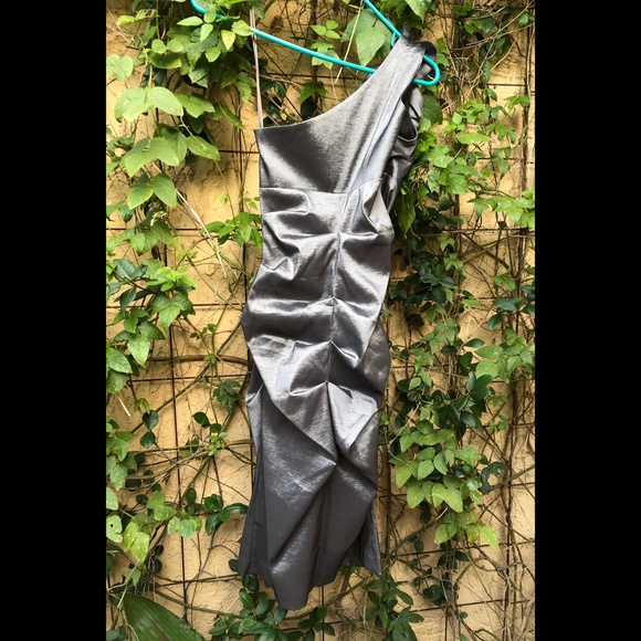 CACHÉ Beauteous Silvery Gray Prom / Cocktail Dress / Formal Sz. 6 - Picture 4 of 9